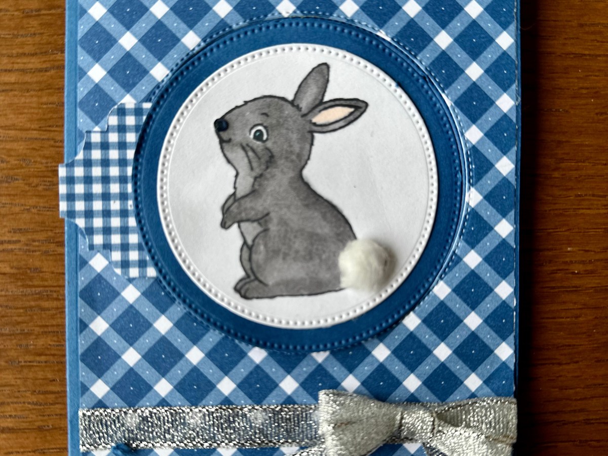 CIRCLE FUN FOLD&nbsp;CARD